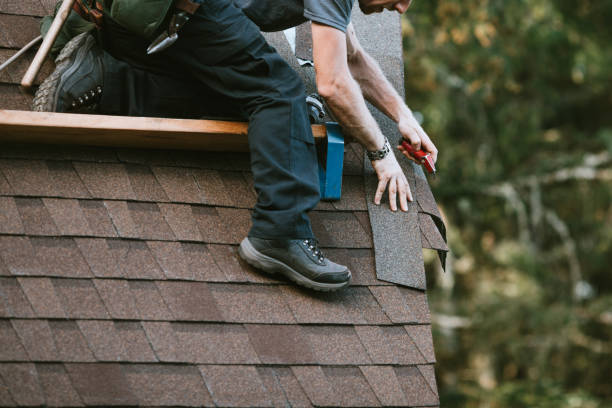 Roof Gutter Cleaning in Euharlee, GA